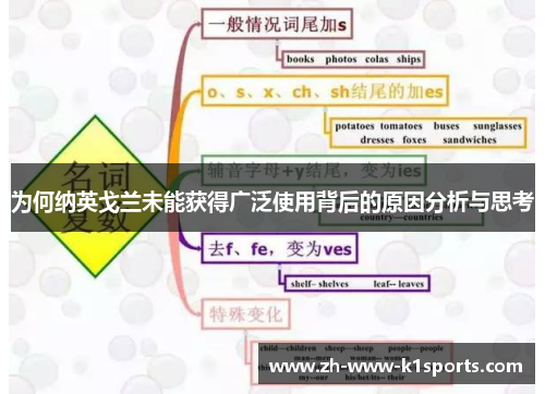 为何纳英戈兰未能获得广泛使用背后的原因分析与思考