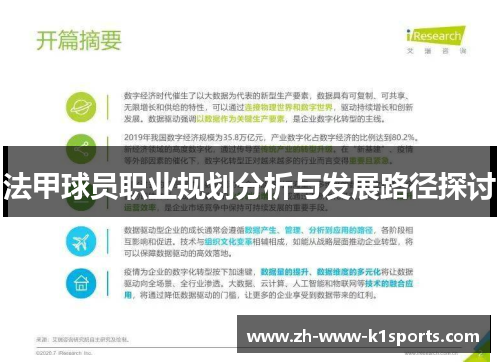 法甲球员职业规划分析与发展路径探讨