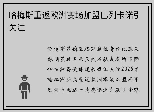 哈梅斯重返欧洲赛场加盟巴列卡诺引关注 哈梅斯重返欧洲赛场加盟巴列卡诺引关注